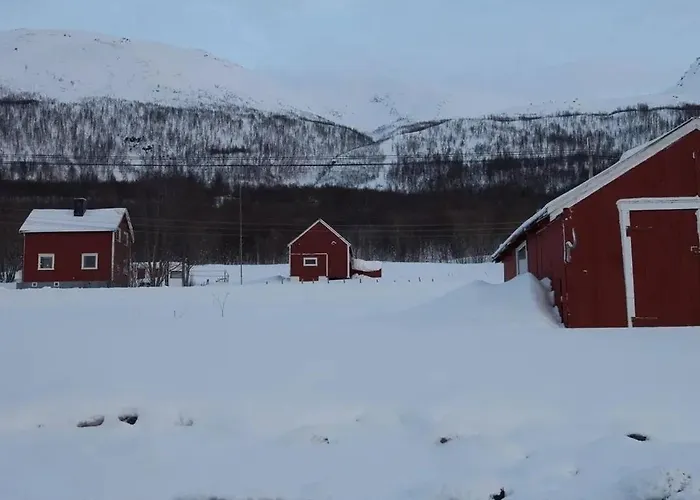 Basecamp Djupvik, Lyngen Alps Panorama Semesterbostad *
